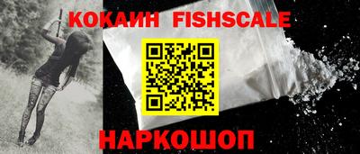 молекула духа Кингисепп