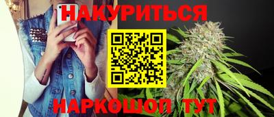 молекула духа Кингисепп