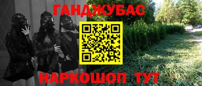 молекула духа Кингисепп