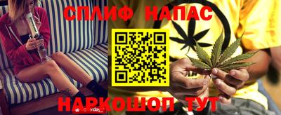 прущие грибы Кинель