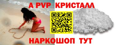 молекула духа Кингисепп