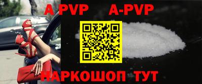 молекула духа Кингисепп