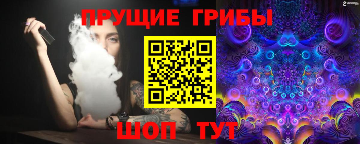 Галлюциногенные грибы Psilocybe Элиста