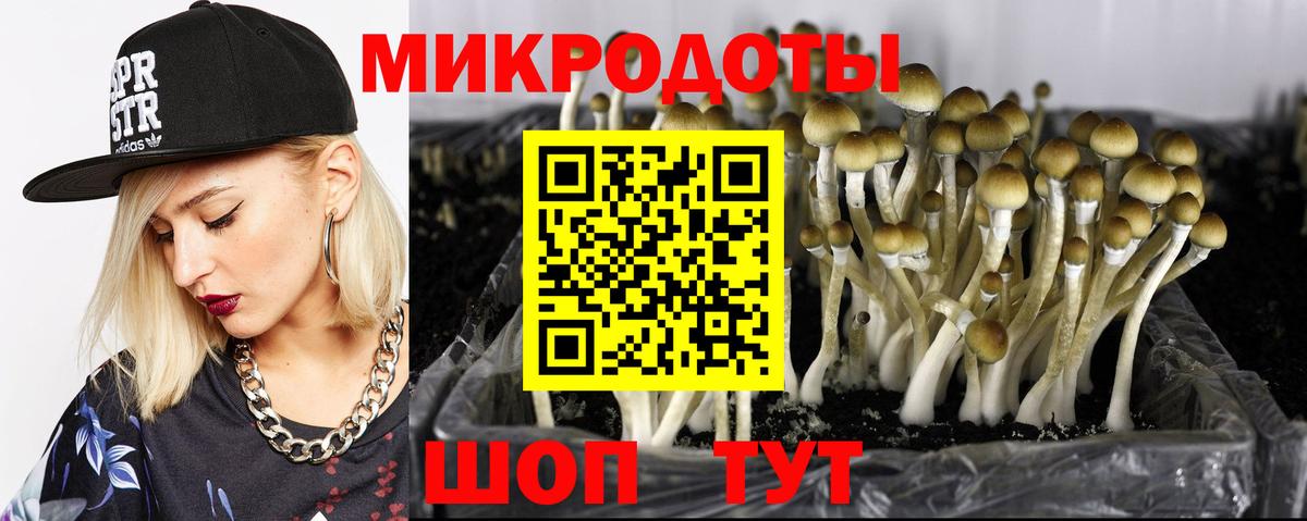 Галлюциногенные грибы Magic Shrooms  Псилоцибиновые грибы Psilocybe  Элиста  Вход с VPN 